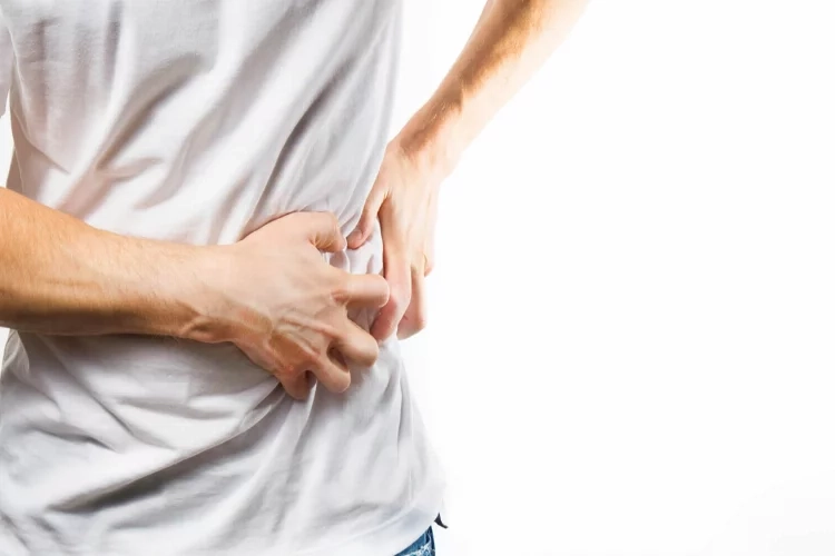 Böbreklerim sağlıklı mı? Böbrek sağlığı için neler yapılmalı? haberinin görseli