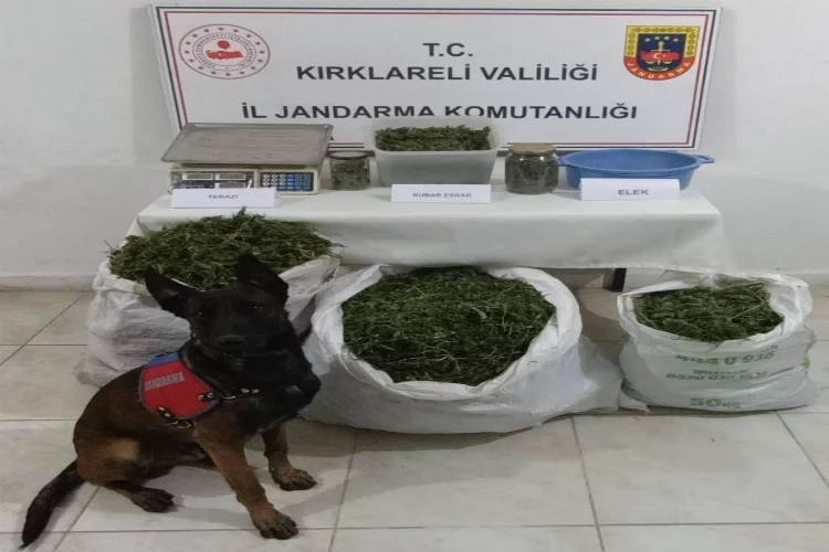 Kırklareli'nde bir evden kilolarca esrar çıktı haberinin görseli