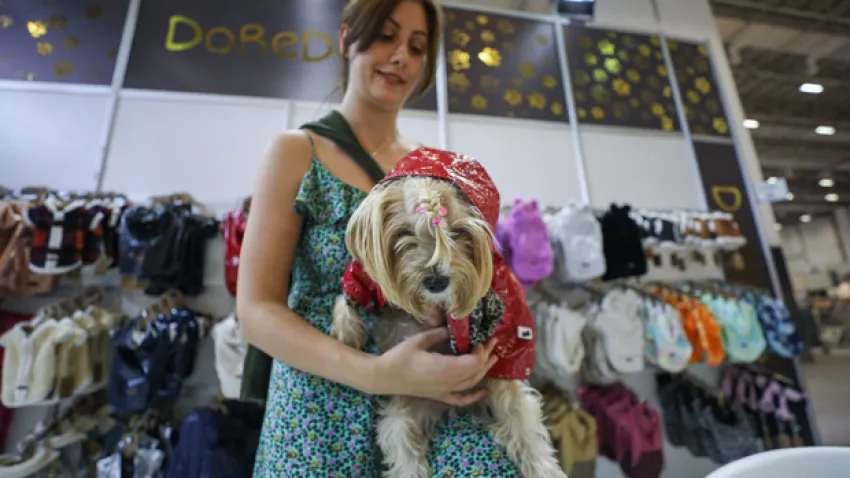 Pet İzmir Evcil Hayvan (3)