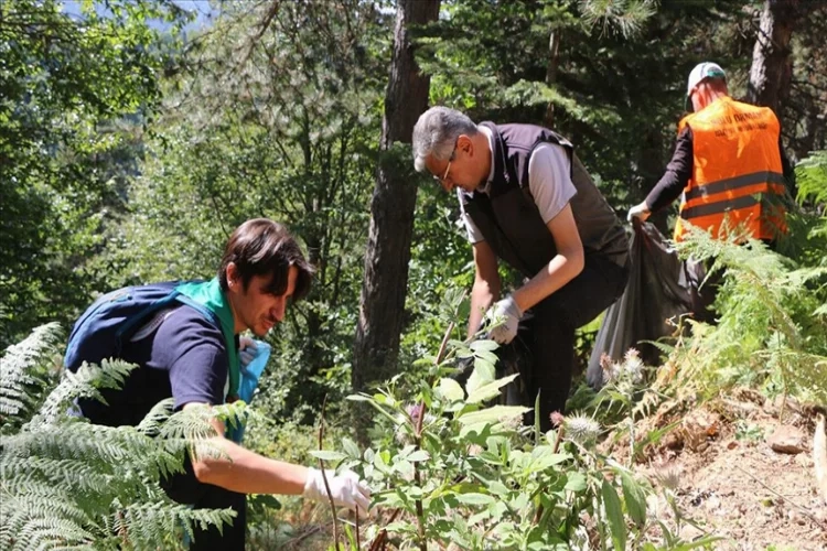 Çevreci gönüllüler Yedigöller Milli Parkı yolunda iş başında