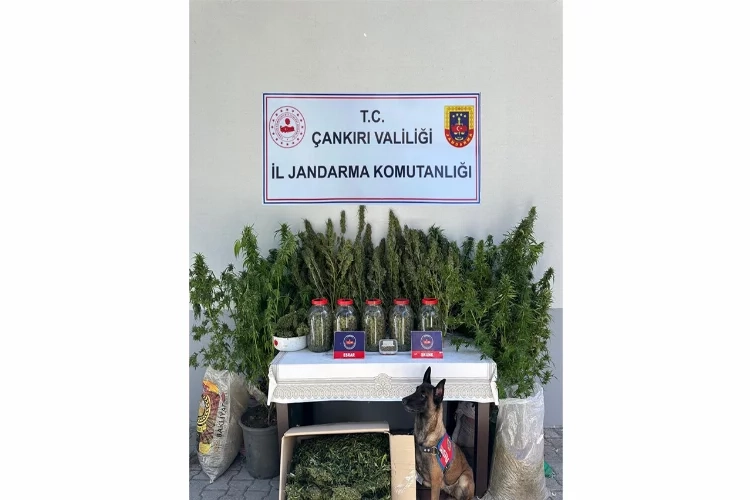 Çankırı’da uyuşturucu operasyonu haberinin görseli