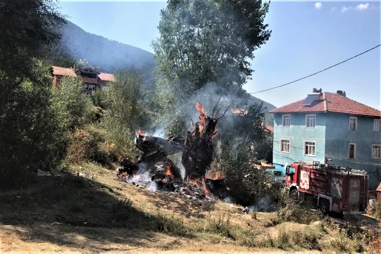 Kütahya'daki yangınlarda 22.29 hektar alan zarar gördü