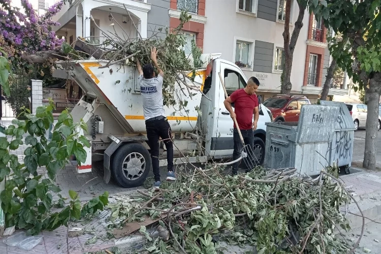 Manisa'da bahar hazırlıkları sürüyor