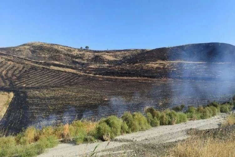 Çorum'da anız yangınında yüzlerce dönüm zarar gördü