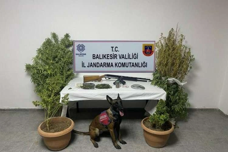 Balıkesir’de uyuşturucu operasyonu