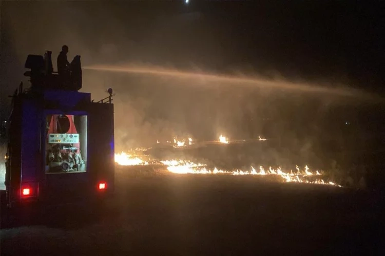 Erzincan’da otluk arazide yangın çıktı haberinin görseli