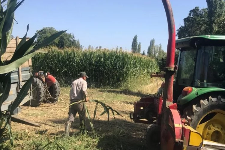 Manisa’da silajlık yem yapımına başlandı haberinin görseli
