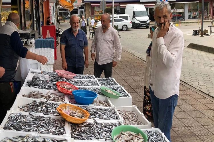 Rize'de hamsinin kilosu 35 TL’den satışa sunuldu