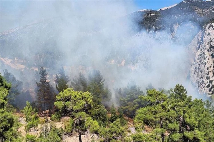 Antalya'nın Kaş ilçesinde orman yangını