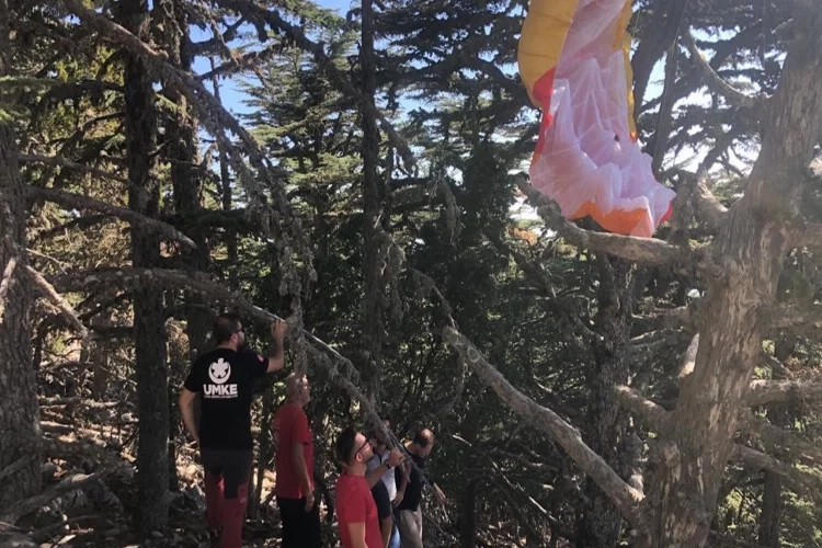 Fethiye'de yamaç paraşütü ağaca dolandı haberinin görseli