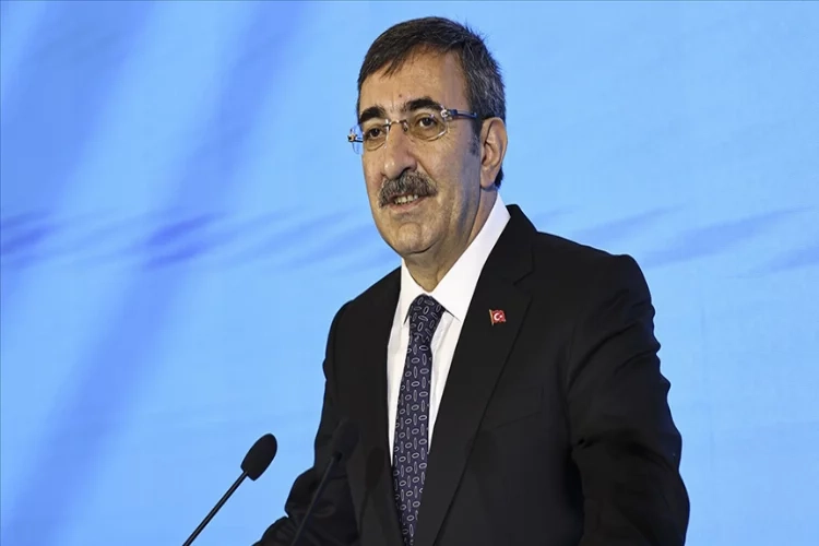 Cumhurbaşkanı Yardımcısı Yılmaz: Aylık bazda düşüşleri daha erken göreceğiz haberinin görseli