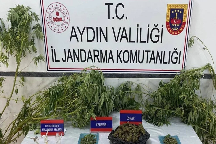 Aydın Kuyucak'ta uyuşturucu operasyonu haberinin görseli
