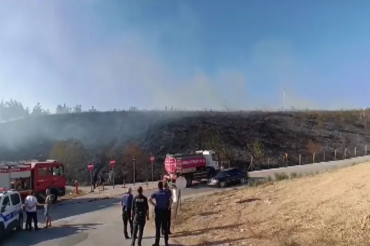Bursa’da otluk alana atılan torpil anızları yaktı haberinin görseli
