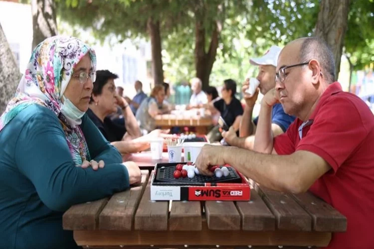 Denizli’de büyüklere satranç kursu haberinin görseli