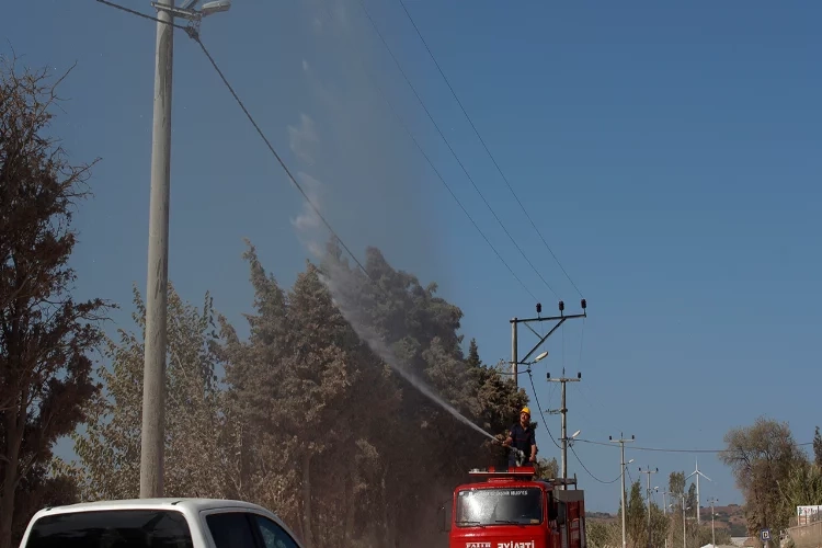 UDEAŞ’tan elektrik hatlarına şaşırtan temizlik yöntemi haberinin görseli