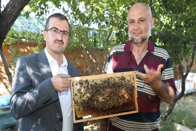 Sokmayan arılar lavanta balı üretimine başladı haberinin görseli