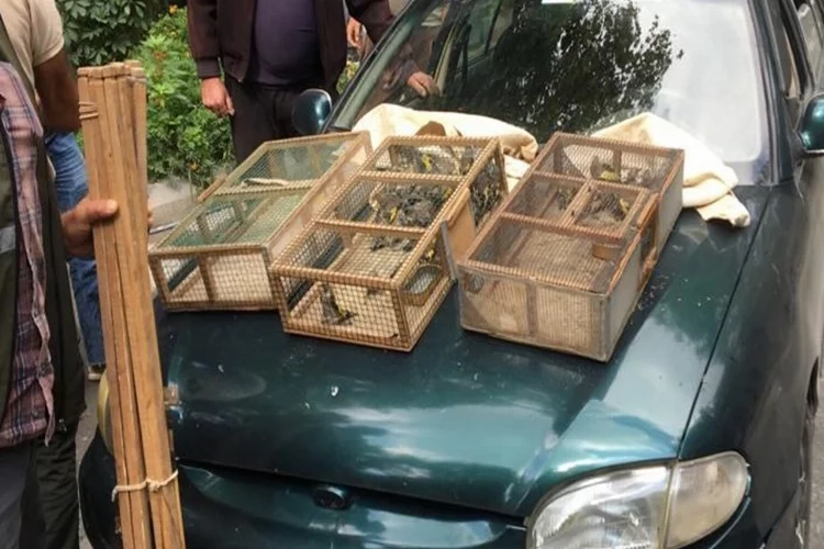 Saka kuşlarını avlayan şahıslara şok ceza haberinin görseli