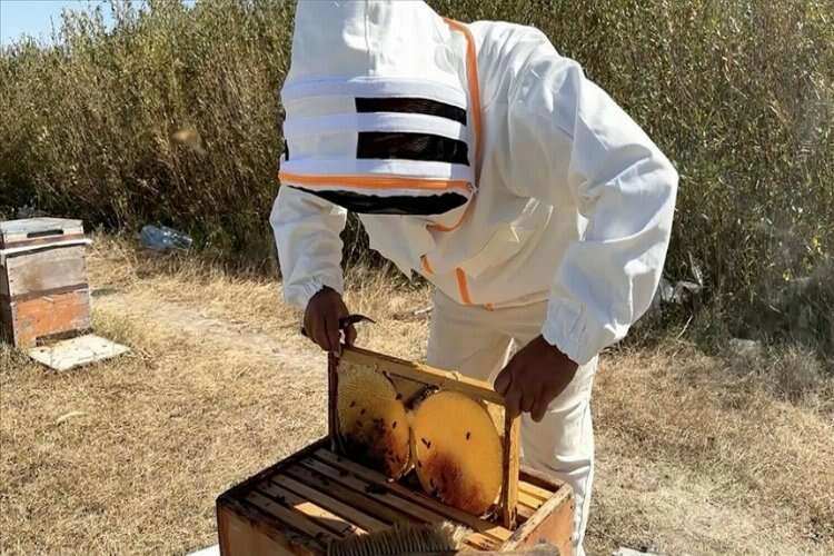 Türkiye Arıcılık Haritası güncellendi haberinin görseli