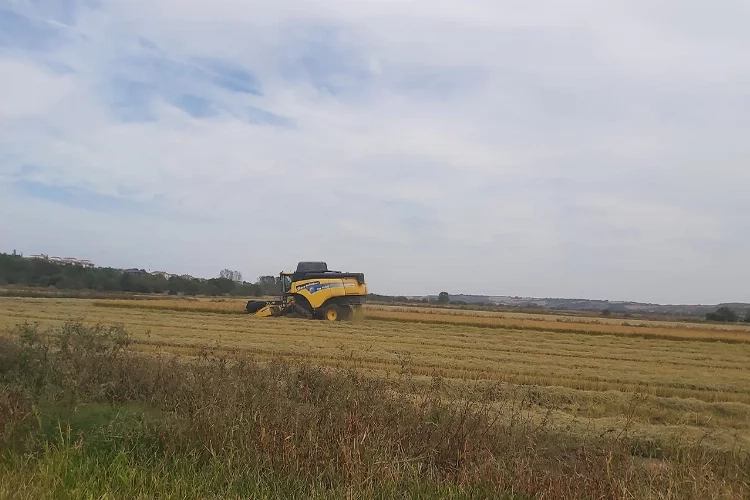 Kırklareli’de çeltik hasadı başladı haberinin görseli