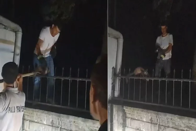 Demir korkuluklara saplanan sansar kurtarıldı haberinin görseli