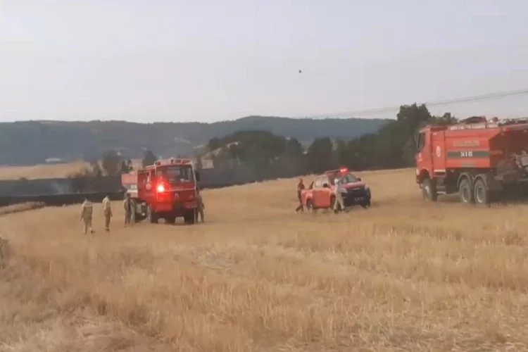 Edirne'de anız yangını ormanlık alana sıçradı haberinin görseli