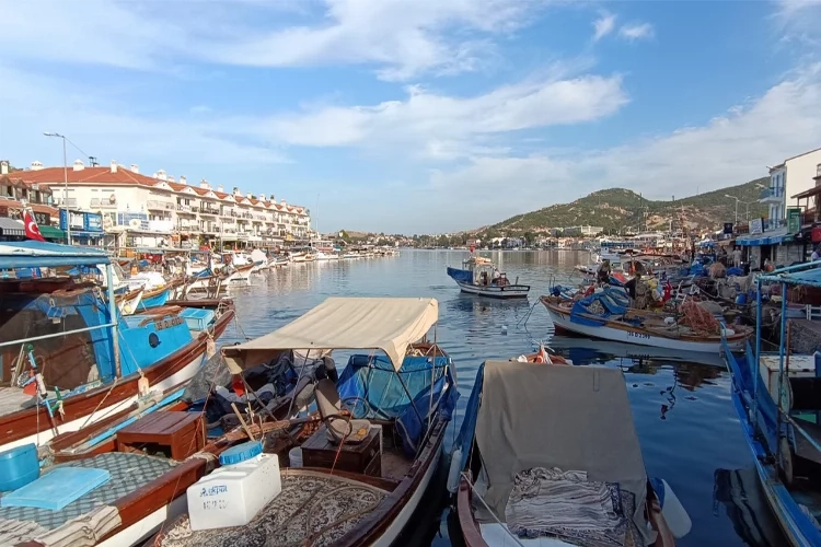 Foça’da turizme denizanası darbesi haberinin görseli