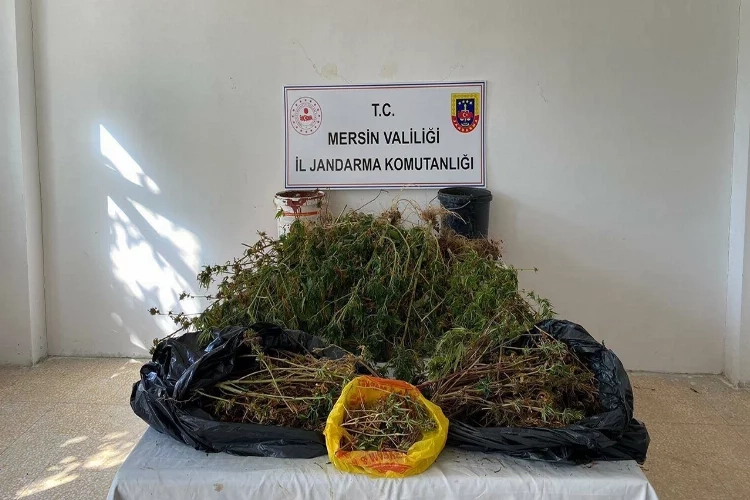Mersin'de zehir tacirlerine operasyon haberinin görseli