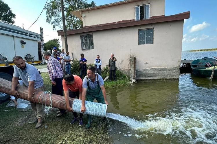 Samsun'da baraj ve göllere sazan yavrusu bırakıldı haberinin görseli