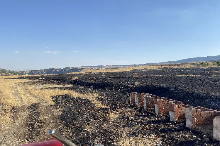 Tunceli'de korkutan arazi yangını haberinin görseli