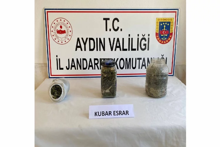 Aydın’da zehir tacirlerine operasyon