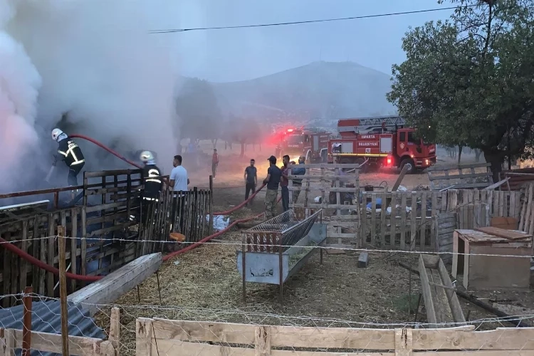 Isparta'da yangın: 500 balya saman kül oldu haberinin görseli