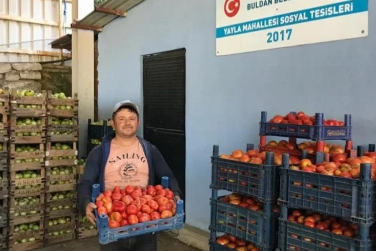 Denizli'nin organik ürünleri Ege pazarlarında haberinin görseli