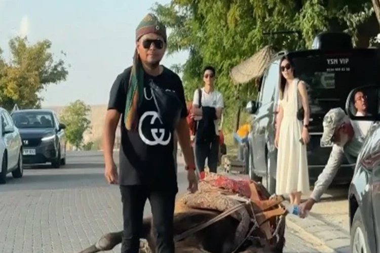 Kapadokya'da deve bayıldı! haberinin görseli