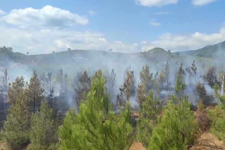 Kazdağları’nda orman yangını çıktı haberinin görseli