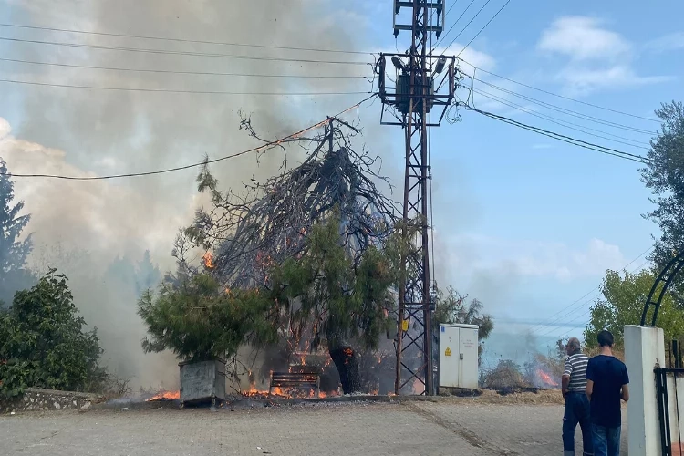 Bursa’da trafo patladı, ağaçlar ve otluk alan yandı