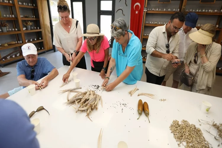 Efes Selçuk, Avrupalı ziyaretçilerin rotasında