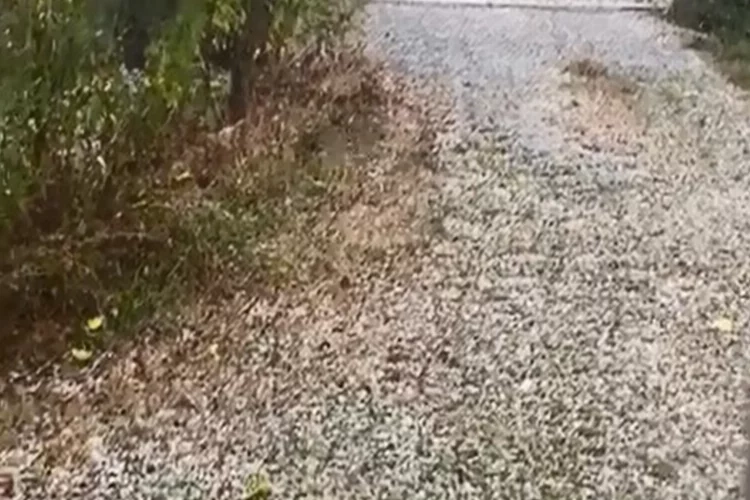 Kastamonu'da dolu yağışı etkili oldu   haberinin görseli