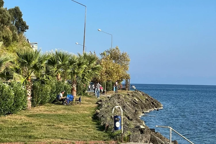 Sinop’un dış ticareti arttı haberinin görseli