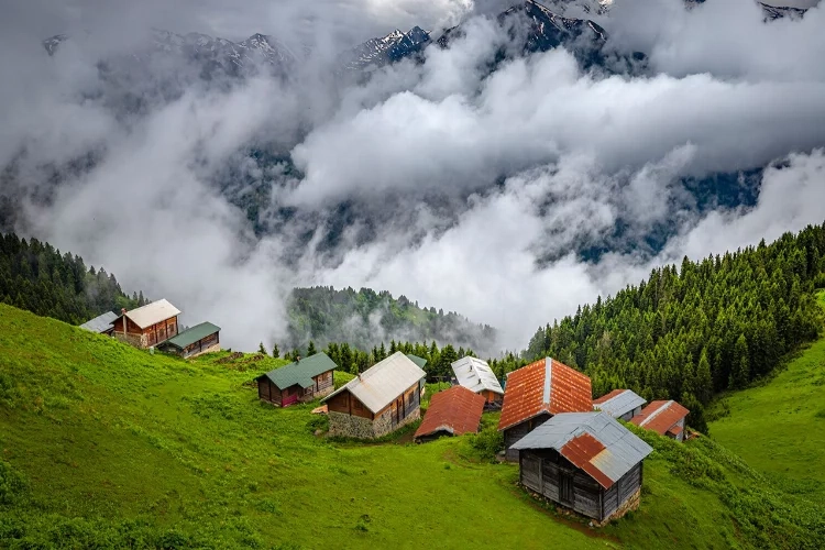 Karadeniz’in yayla cenneti: Rize