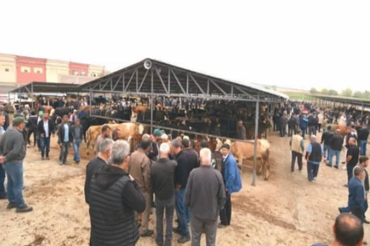 Afyon’da hayvan pazarı yeni yerinde açıldı haberinin görseli