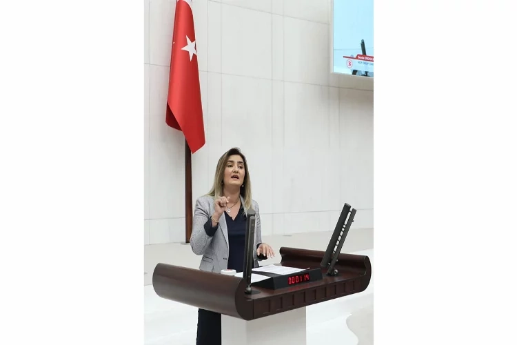 CHP’li Kılıç’tan Cumhurbaşkanı Erdoğan’ın anayasa çağrısına tepki haberinin görseli