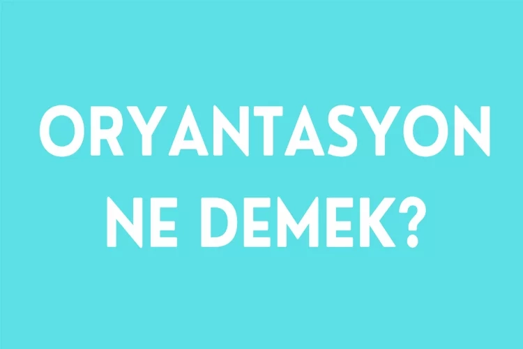 Oryantasyon ne demek? Oryantasyon eğitimi nedir? İşte oryantasyon hakkında merak edilenler! haberinin görseli