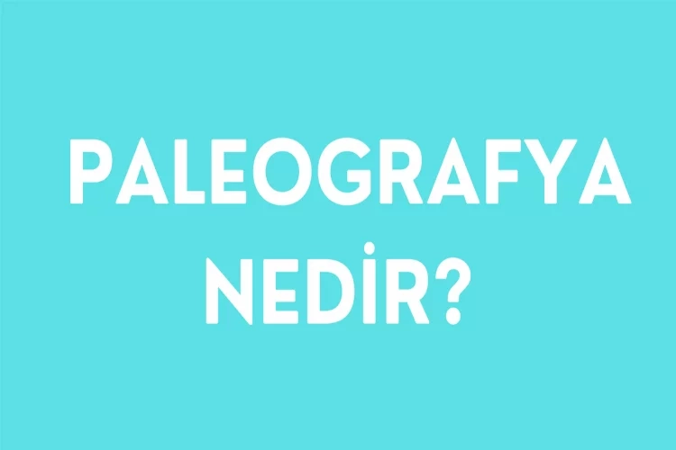 Paleografya nedir? Paleografya bilimi neyi inceler? İşte Paleografyanın önemi! haberinin görseli