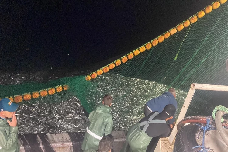 Çanakkale Boğazı’nda sardalya bereketi haberinin görseli