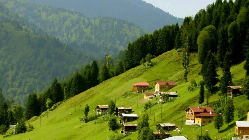 şavşat