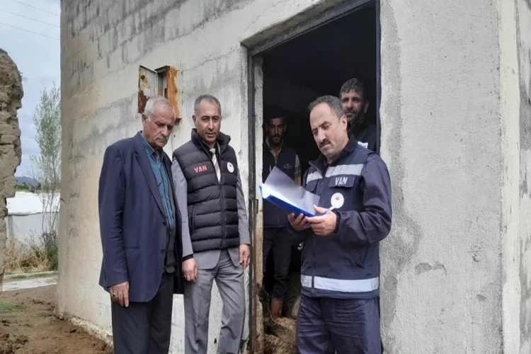 Van’da 130 koyunu telef olmuş halde buldu haberinin görseli