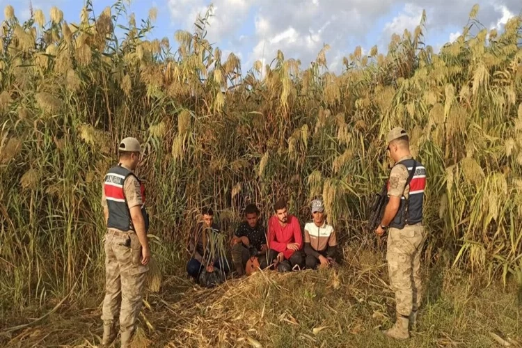 Kilis’te düzensiz göçmenler yakalandı haberinin görseli