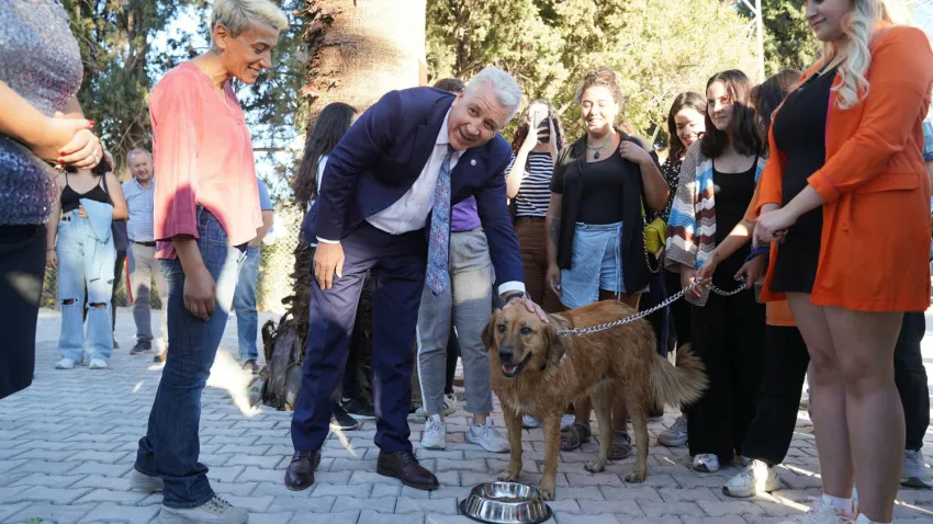 Dünya Hayvan Hakları Günü (3)