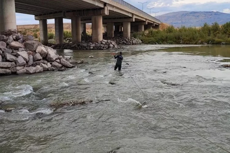 Nehirde mahsur kalan köpek böyle kurtarıldı