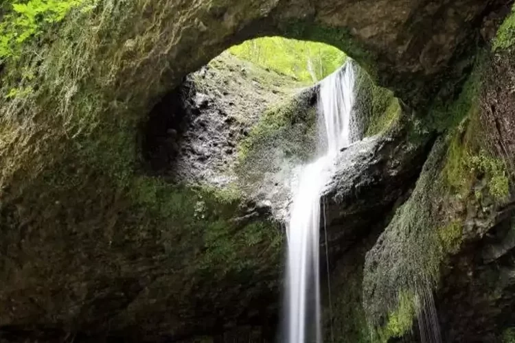 Yemyeşil doğası ile cennetten bir köşe: Artvin!